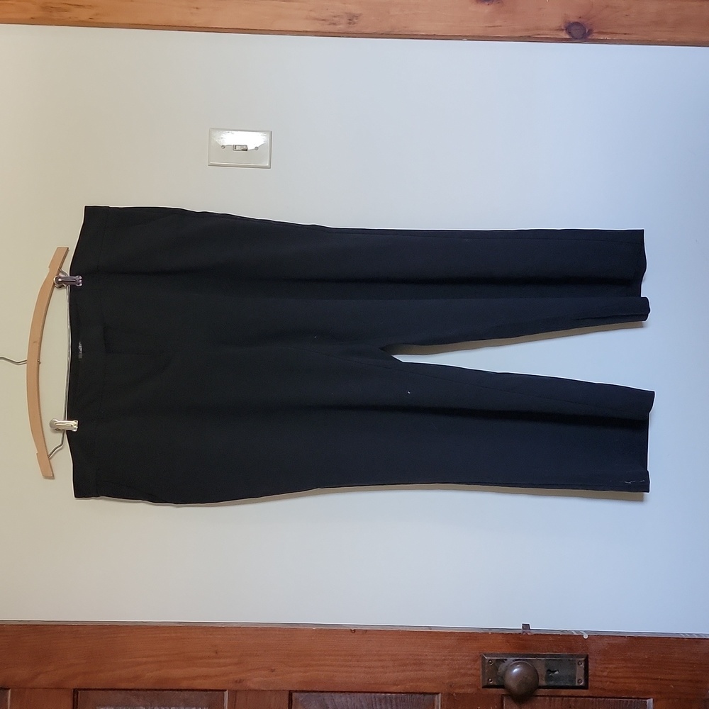 Daisy Fuentes dress slacks